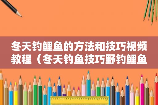 冬天钓鲤鱼的方法和技巧视频教程（冬天钓鱼技巧野钓鲤鱼）