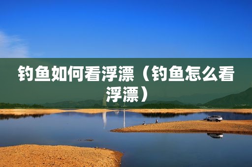 钓鱼如何看浮漂（钓鱼怎么看浮漂）