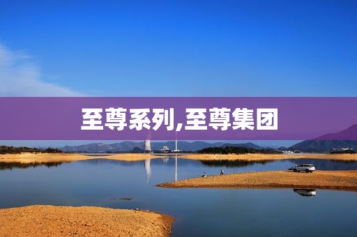 至尊系列,至尊集团