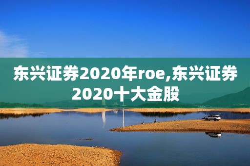 东兴证券2020年roe,东兴证券2020十大金股