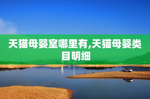 天猫母婴室哪里有,天猫母婴类目明细