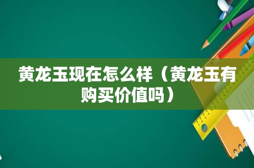 黄龙玉现在怎么样（黄龙玉有购买价值吗）