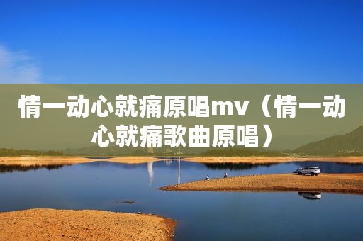 情一动心就痛原唱mv（情一动心就痛歌曲原唱）