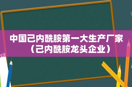 中国己内酰胺第一大生产厂家（己内酰胺龙头企业）