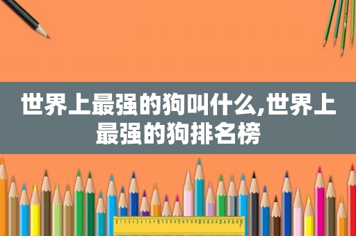 世界上最强的狗叫什么,世界上最强的狗排名榜
