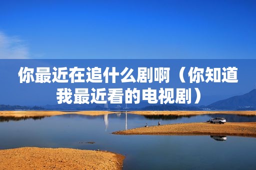 你最近在追什么剧啊（你知道我最近看的电视剧）