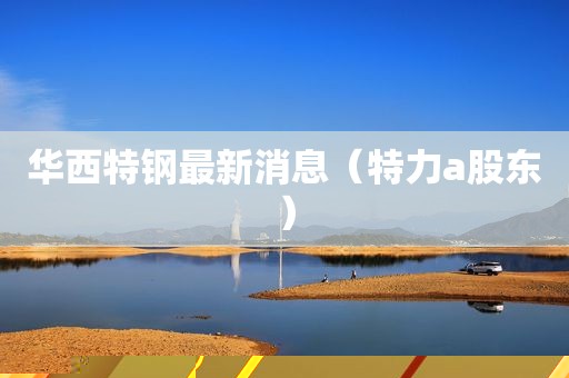 华西特钢最新消息（特力a股东）