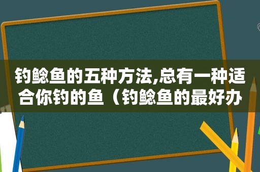 钓鲶鱼的五种方法,总有一种适合你钓的鱼（钓鲶鱼的最好办法）