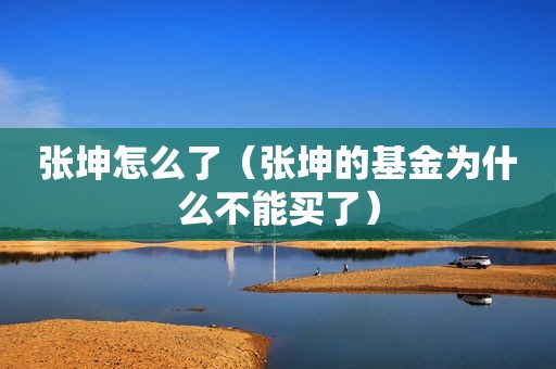 张坤怎么了（张坤的基金为什么不能买了）