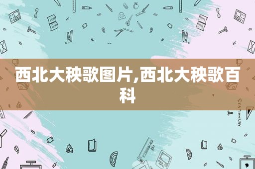 西北大秧歌图片,西北大秧歌百科