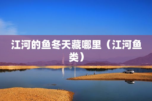 江河的鱼冬天藏哪里（江河鱼类）