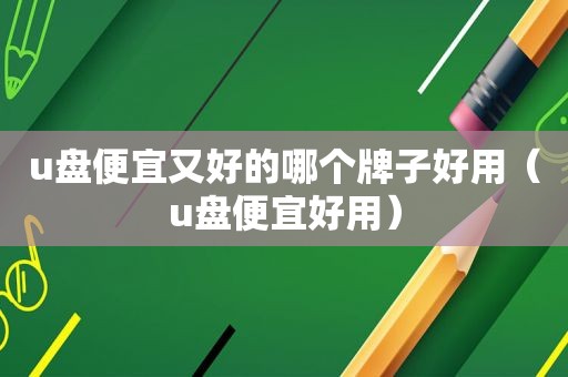 u盘便宜又好的哪个牌子好用（u盘便宜好用）