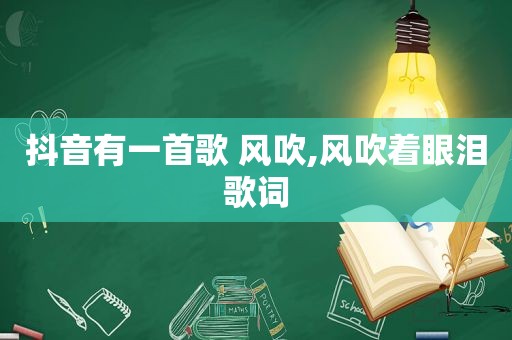 抖音有一首歌 风吹,风吹着眼泪歌词