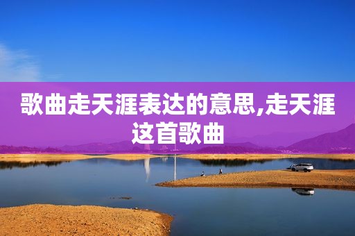 歌曲走天涯表达的意思,走天涯这首歌曲