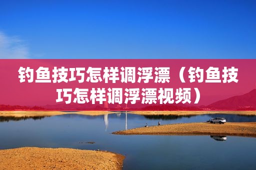 钓鱼技巧怎样调浮漂（钓鱼技巧怎样调浮漂视频）