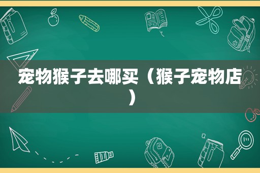 宠物猴子去哪买（猴子宠物店）