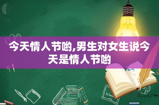 今天情人节哟,男生对女生说今天是情人节哟