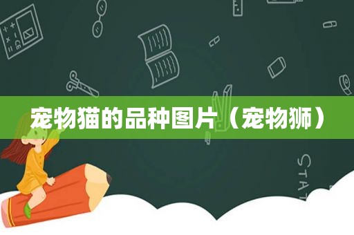 宠物猫的品种图片（宠物狮）