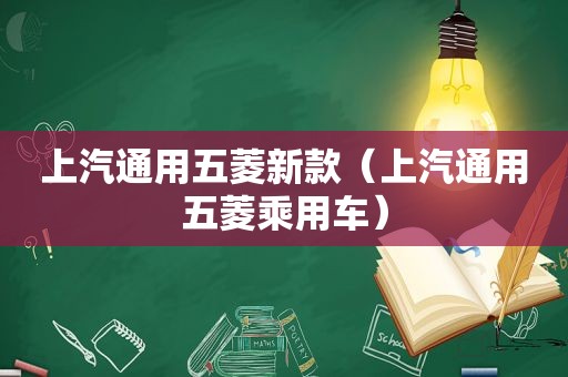 上汽通用五菱新款（上汽通用五菱乘用车）