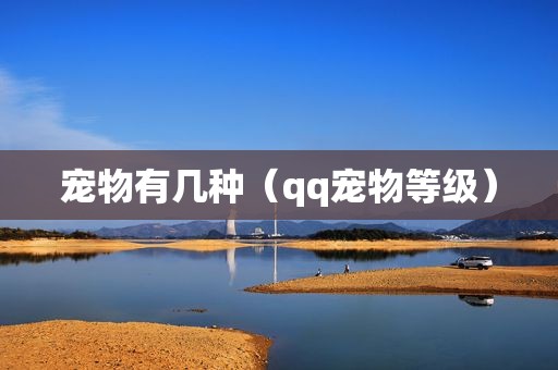 宠物有几种（qq宠物等级）