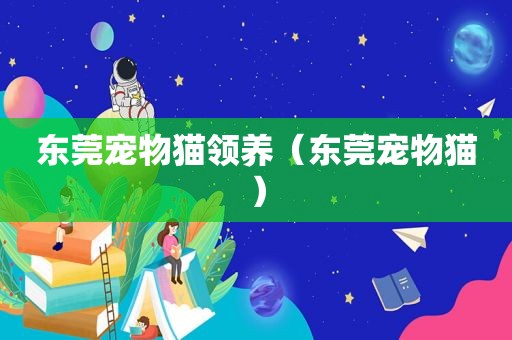 东莞宠物猫领养（东莞宠物猫）
