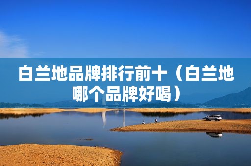 白兰地品牌排行前十（白兰地哪个品牌好喝）