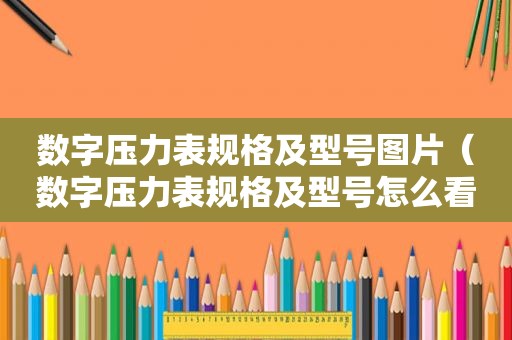 数字压力表规格及型号图片（数字压力表规格及型号怎么看）