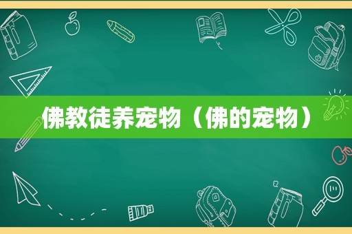 佛教徒养宠物（佛的宠物）