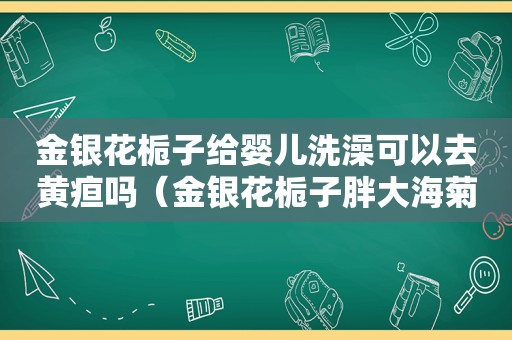 金银花栀子给婴儿洗澡可以去黄疸吗（金银花栀子胖大海菊花可以一起泡水喝吗）