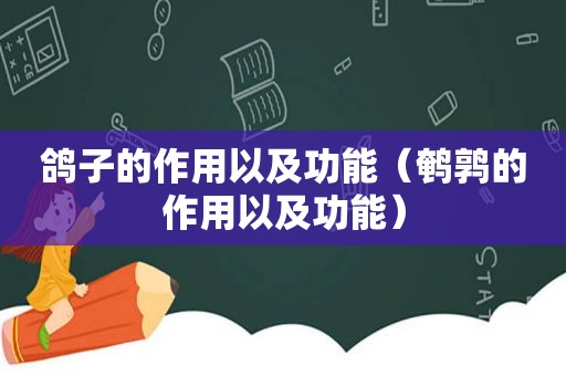 鸽子的作用以及功能（鹌鹑的作用以及功能）