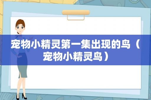 宠物小精灵第一集出现的鸟（宠物小精灵鸟）