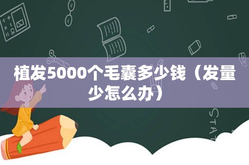 植发5000个毛囊多少钱（发量少怎么办）