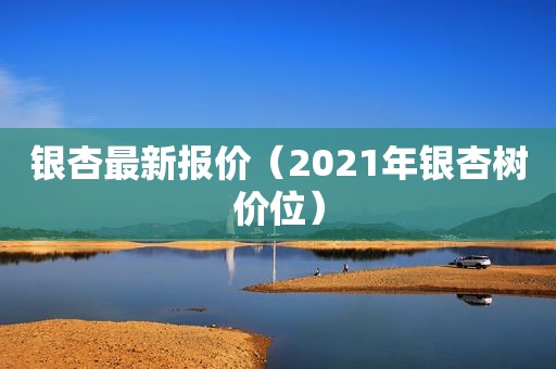 银杏最新报价（2021年银杏树价位）