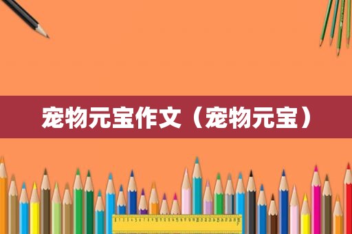 宠物元宝作文（宠物元宝）
