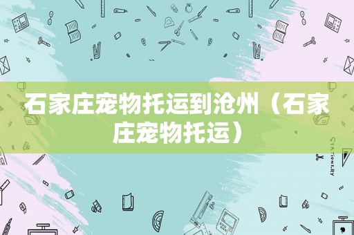 石家庄宠物托运到沧州（石家庄宠物托运）