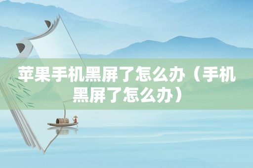 苹果手机黑屏了怎么办（手机黑屏了怎么办）