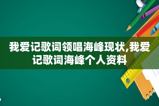 我爱记歌词领唱海峰现状,我爱记歌词海峰个人资料