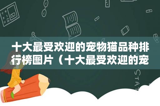 十大最受欢迎的宠物猫品种排行榜图片（十大最受欢迎的宠物猫品种排行榜）