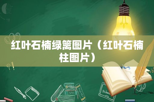 红叶石楠绿篱图片（红叶石楠柱图片）