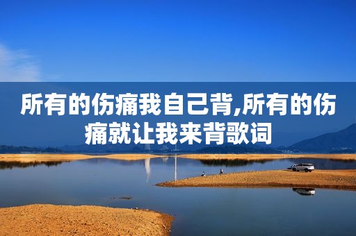 所有的伤痛我自己背,所有的伤痛就让我来背歌词