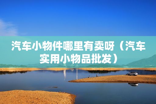 汽车小物件哪里有卖呀（汽车实用小物品批发）