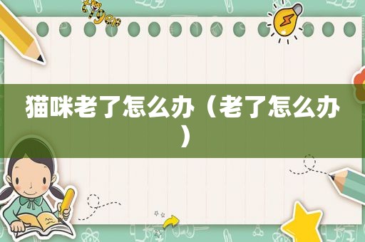 猫咪老了怎么办（老了怎么办）