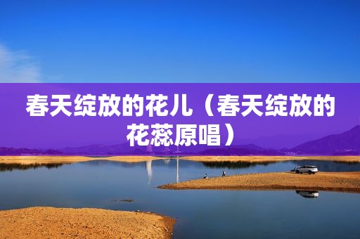 春天绽放的花儿（春天绽放的花蕊原唱）