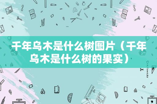 千年乌木是什么树图片（千年乌木是什么树的果实）