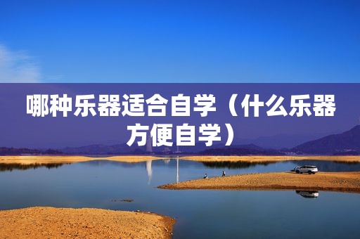 哪种乐器适合自学（什么乐器方便自学）