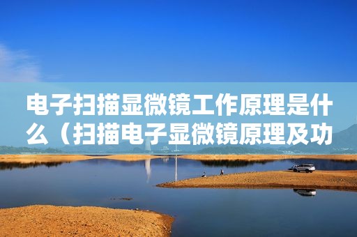 电子扫描显微镜工作原理是什么（扫描电子显微镜原理及功能用途）