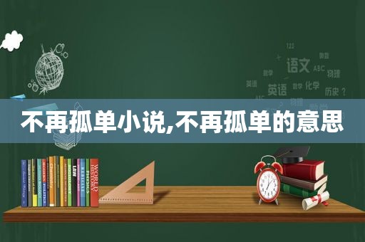 不再孤单小说,不再孤单的意思