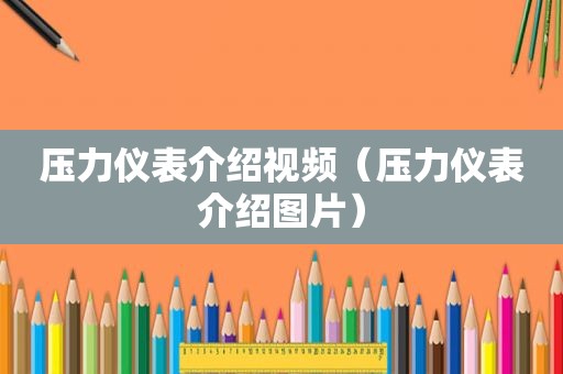 压力仪表介绍视频（压力仪表介绍图片）