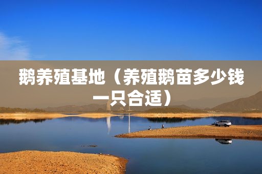 鹅养殖基地（养殖鹅苗多少钱一只合适）