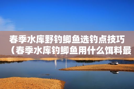 春季水库野钓鲫鱼选钓点技巧（春季水库钓鲫鱼用什么饵料最好）